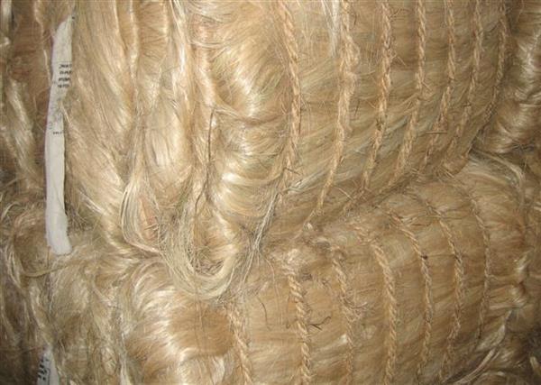 Abaca Fibre